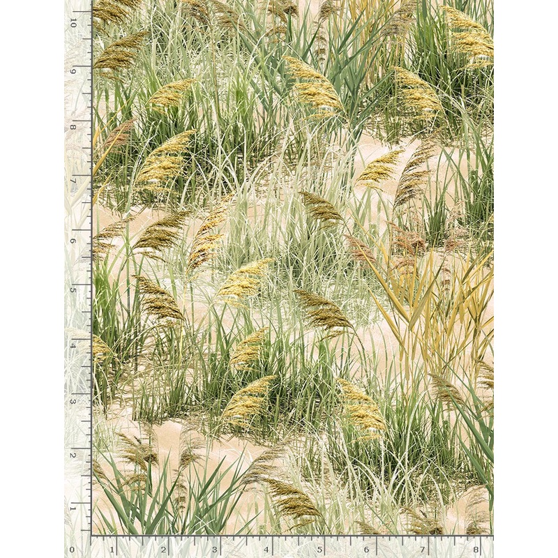 Beach Sea Grass Natural Beige Timeless Treasures Cotton Fabric