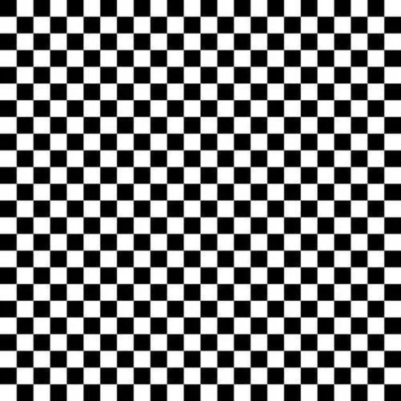 Start your Engines Checker Black Robert Giordano Henry Glass Cotton Fabric