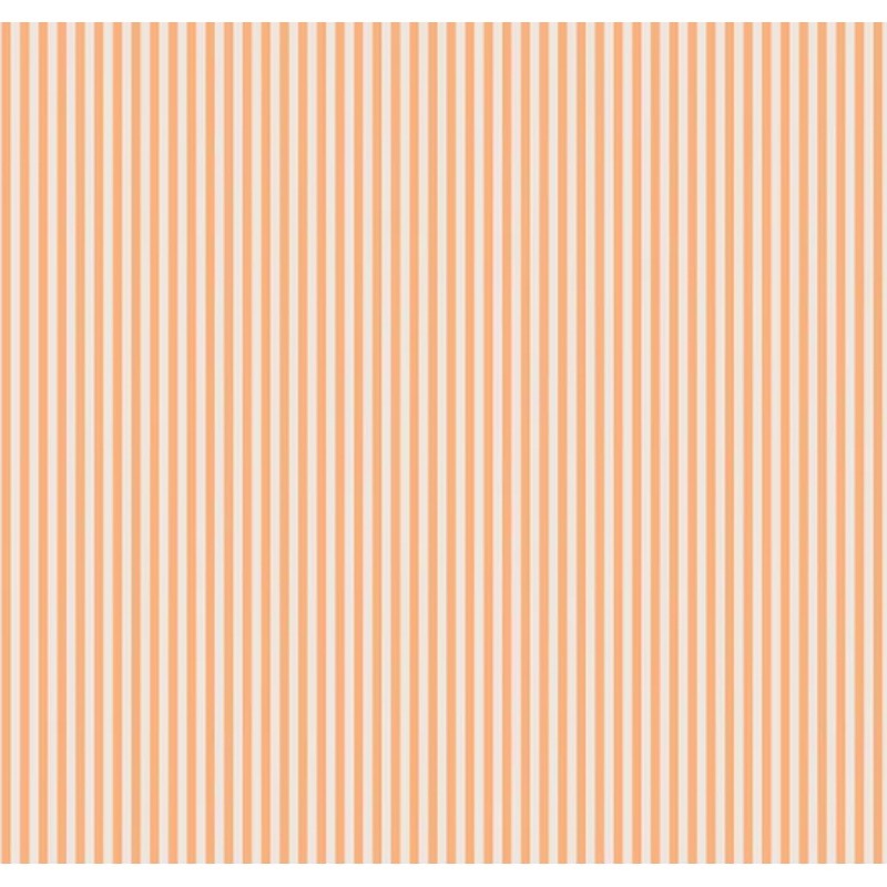 1/8" Stripe On Ivory-Marmalade C505-MARMALADE