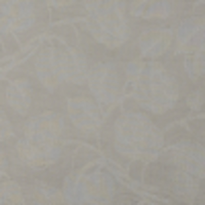 Beige on Beige Raised Floral Cotton Woven