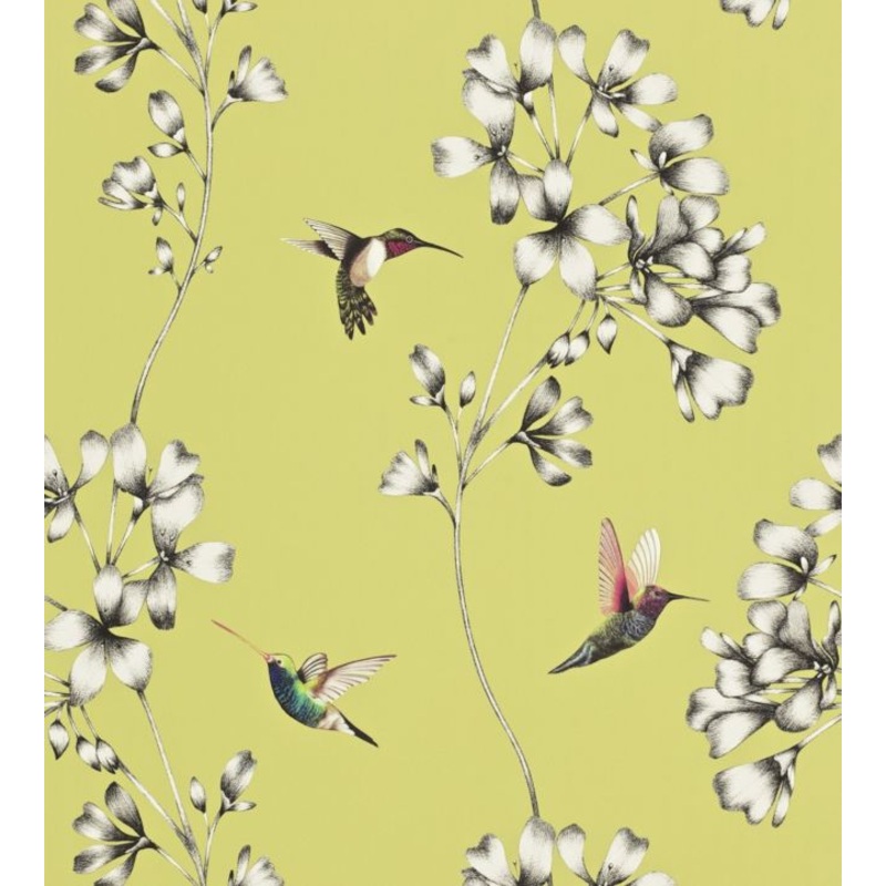 Amazilia Wallpaper - Gooseberry - HAMA111061 - Harlequin