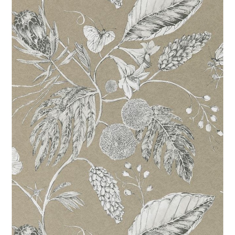 Amborella Wallpaper - Pebble - HGAT111222 - Harlequin
