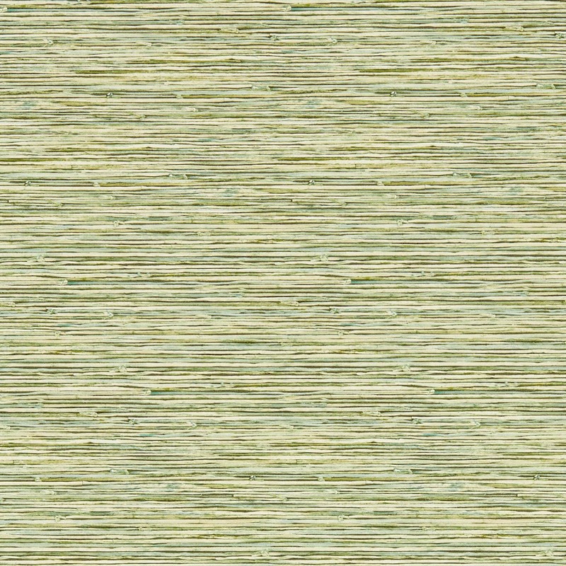 Xan Wallpaper - Palm - Clarke & Clarke