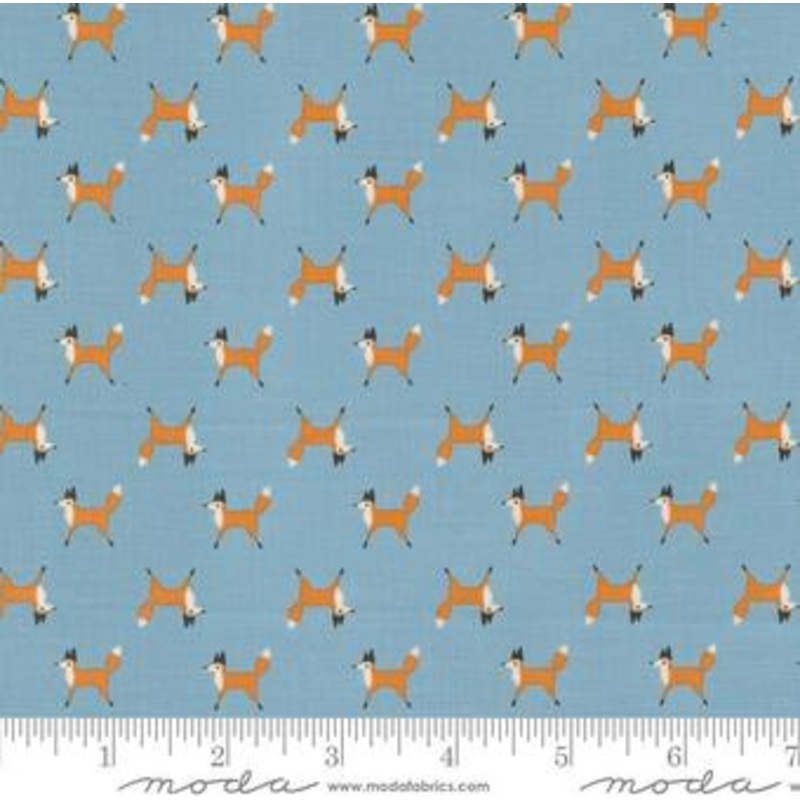 Woodland Wonder Sky Trot Dot