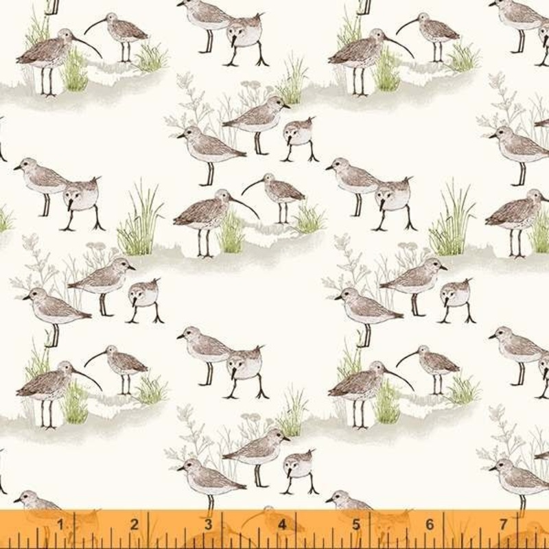 Windham Fabrics Sea & Shore Curlew Cream 53028-5