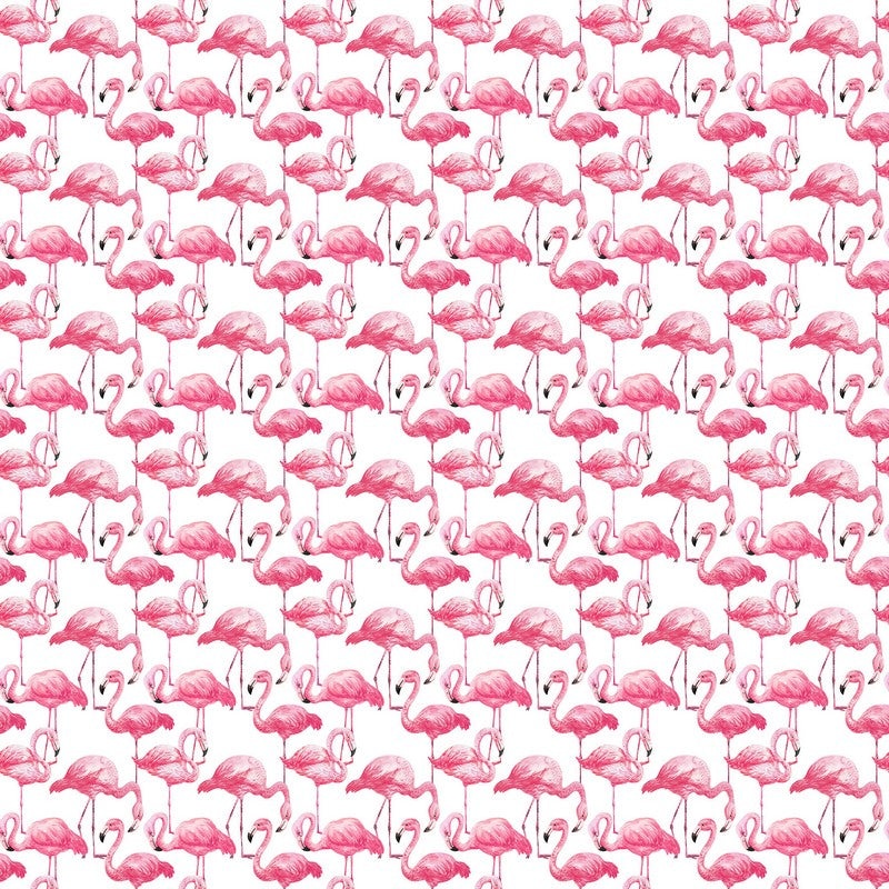 Coastal Breeze - Flamingos in White Multi - Northcott