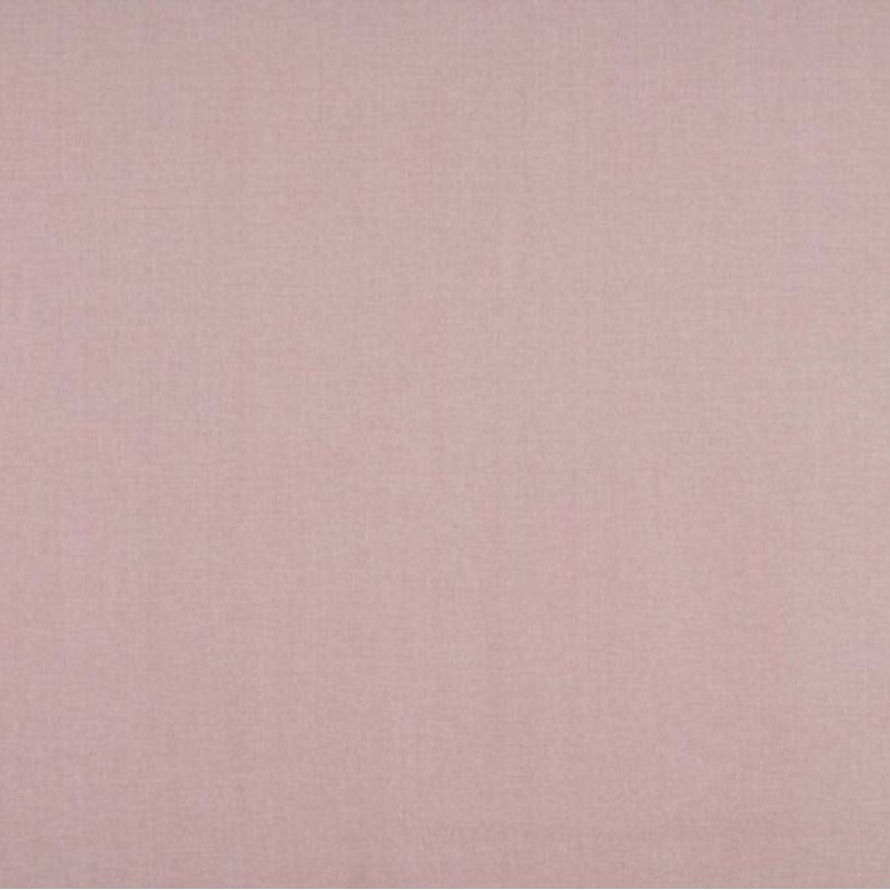 Ashley Wilde Cole Candyfloss