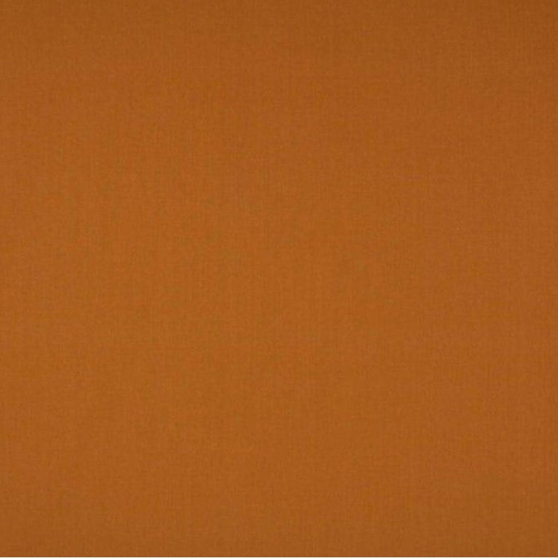Ashley Wilde Cole Clementine